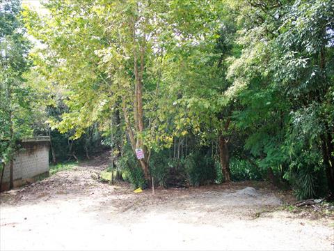 Terreno / Lote para venda no Vila Maria Ignácia em Colombo com 0m² por R$ 3.200.000,00